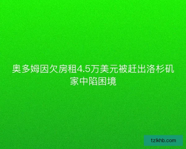 奥多姆因欠房租4.5万美元被赶出洛杉矶家中陷困境