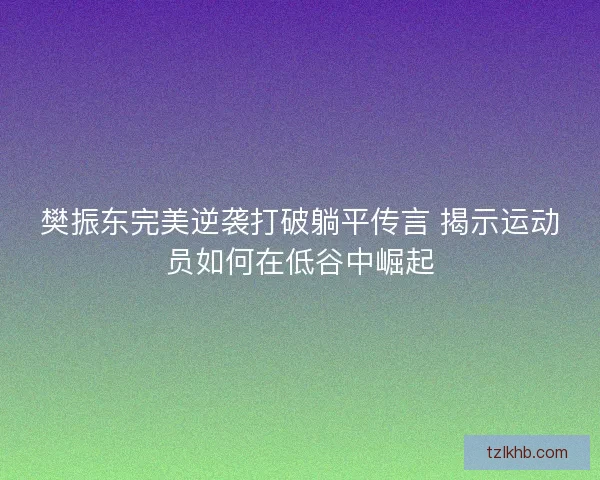 樊振东完美逆袭打破躺平传言 揭示运动员如何在低谷中崛起
