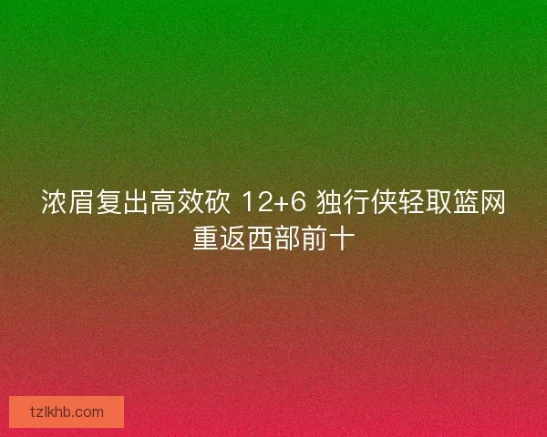 浓眉复出高效砍 12+6 独行侠轻取篮网重返西部前十